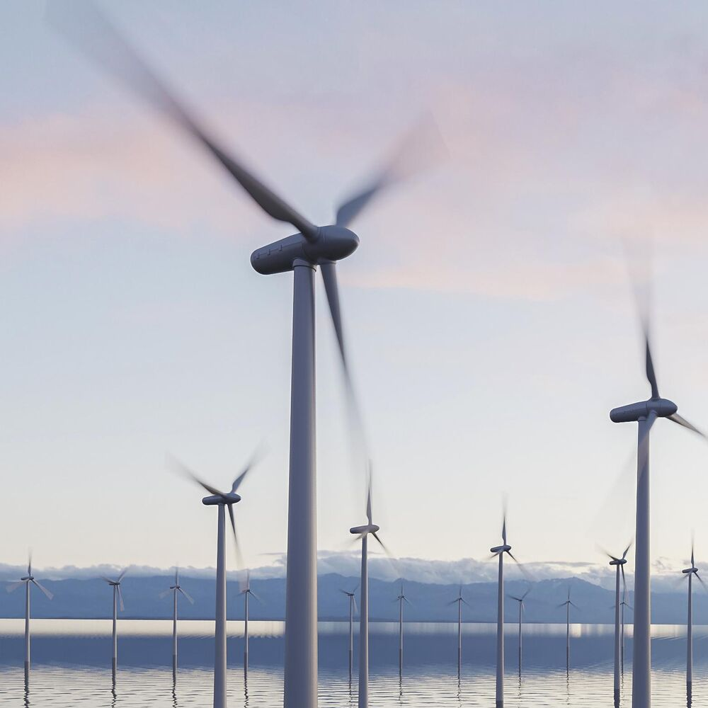 Du betrachtest gerade Kollisionsrisiken von Vögeln bei Offshore-Windparks